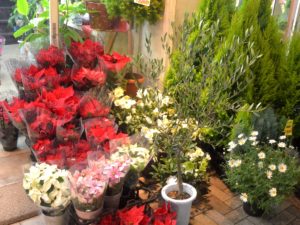 花市場_代々木上原_1