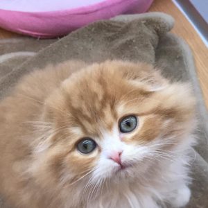 代々木上原, 駅ビル