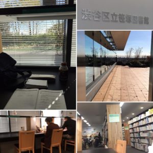 sasazukalibrary1