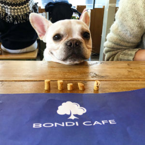 bondicafe2