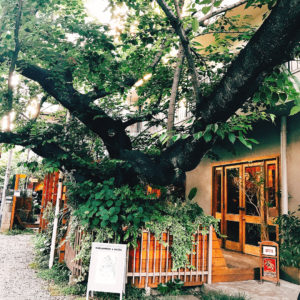 代々木上原, 極上, コーヒーショップ