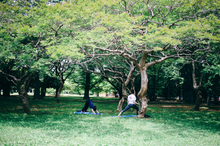 代々木上原と言えばここ！定番お散歩コースをご紹介 - ACT LOCALLY