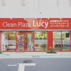 lucy1