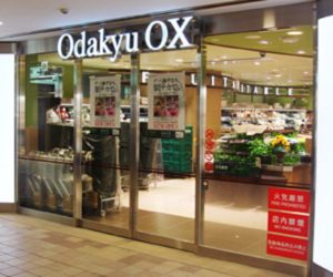 odakyuox1