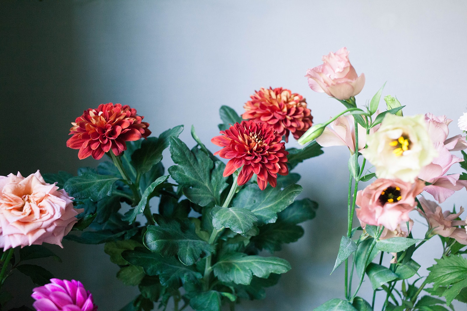 代々木上原の花屋 ex. flower shop & laboratory