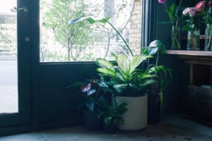 代々木上原の花屋 ex. flower shop & laboratory