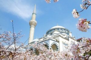 tokyocamii1