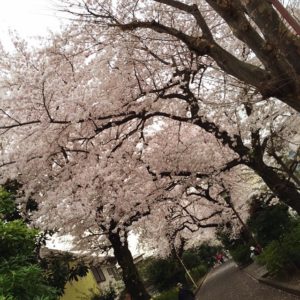 ryokudou2