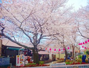 ryokudou1