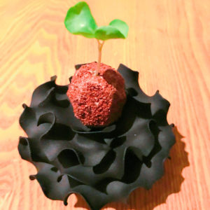 sio1