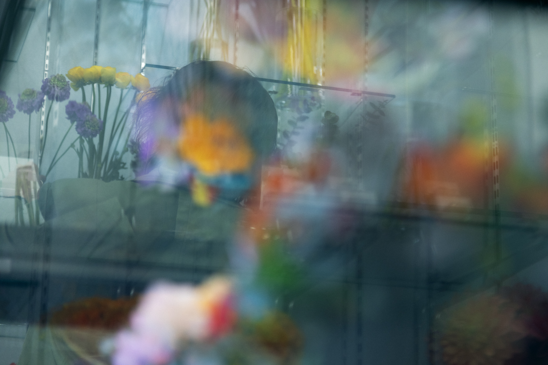 円池　茂　【卓上の花】 Beautiful Flowering Quince From Garden / 木瓜海棠/ ボケの花- YouTube